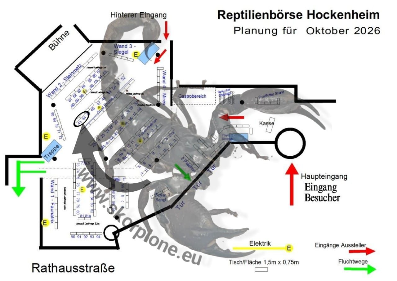 Hockenheim 11.10.2026 11.10.2026 Reptilienbörse Hockenheim